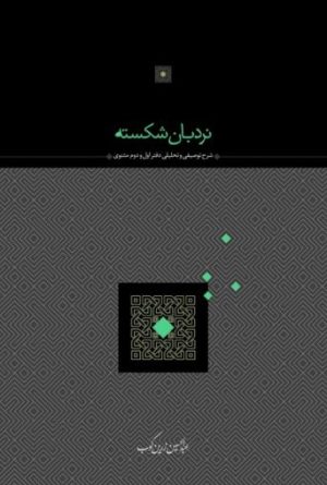 کتاب نردبان شکسته | انتشارات سخن