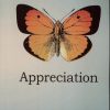 کتاب Appreciation | انتشارات آی آی کتاب