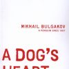 کتاب A Dog's Heart | انتشارات افرند