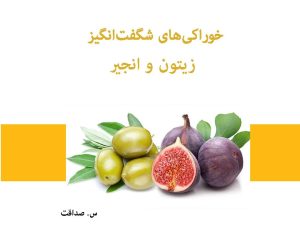 کتاب خوراکی‌های شگفت‌انگیز زیتون و انجیر | انتشارات 360 درجه