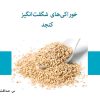 کتاب خوراکی‌های شگفت‌انگیز کنجد | انتشارات 360 درجه