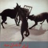 کتاب زیر دندان سه | انتشارات افراز
