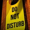 کتاب Do Not Disturb | انتشارات معیار علم