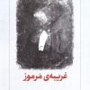 کتاب غریبهی مرموز | انتشارات دیدآور
