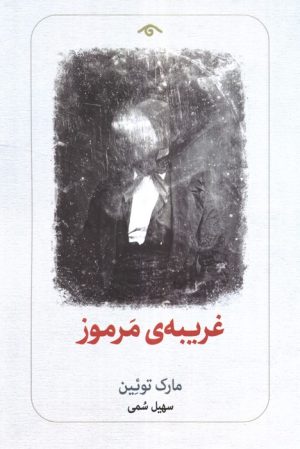 کتاب غریبه‌ی مرموز | انتشارات دیدآور