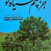 کتاب جز چشم سیاه تو | انتشارات نیستان