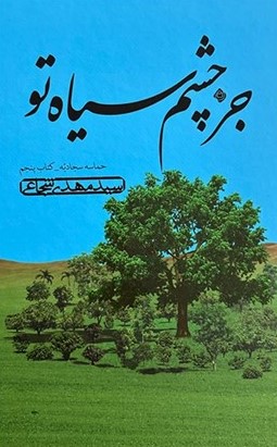 کتاب جز چشم سیاه تو | انتشارات نیستان