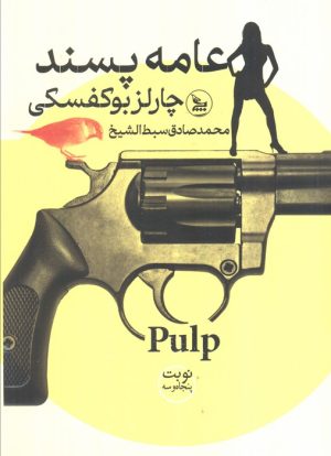 کتاب عامه پسند | انتشارات نشر چلچله