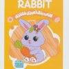 کتاب کتاب رنگ آمیزی فانتزی (طرح RABIT،کد 1457) | انتشارات حتمی