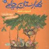 کتاب قصه های تصویری از بهارستان جامی 8 | انتشارات قدیانی