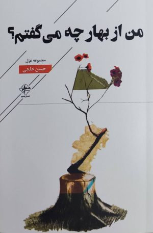 کتاب من از بهار چه می‌گفتم؟ | انتشارات فصل پنجم