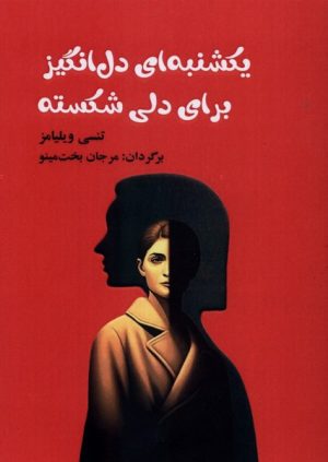 کتاب یکشنبه‌ ای دل انگیز برای دلی شکسته | انتشارات مینو