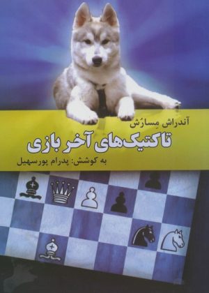 کتاب تاکتیک‌های آخر بازی | انتشارات فرزین
