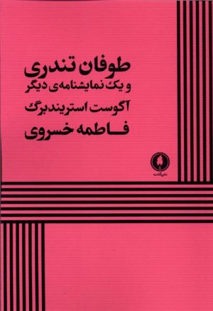 کتاب طوفان تندری | انتشارات یکشنبه