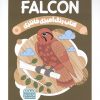 کتاب کتاب رنگ آمیزی فانتزی (طرح FALCON،کد 1393)،(سیمی) | انتشارات حتمی