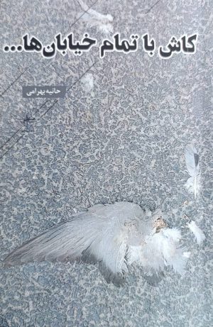 کتاب کاش با تمام خیابان‌ها... | انتشارات فصل پنجم