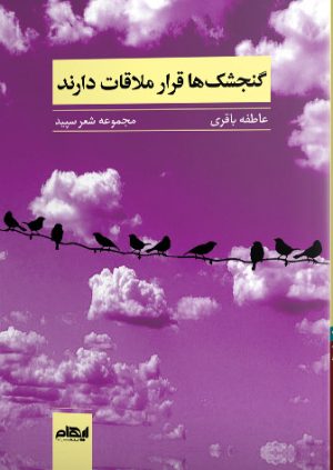 کتاب گنجشک ها قرار ملاقات دارند | انتشارات ایهام