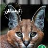 کتاب گربه سانان | انتشارات فنی ایران نردبان
