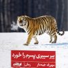 کتاب ببر سیبری پسرم را خورد | انتشارات ایهام