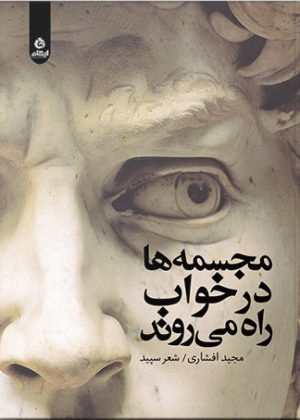 کتاب مجسمه ها در خواب راه می روند | انتشارات ایهام