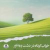 کتاب خواب کوتاه در دشت پهناور | انتشارات ایهام