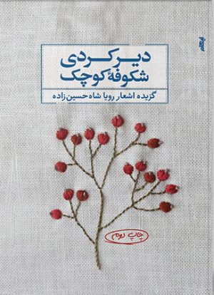 کتاب دیر کردی شکوفه کوچک | انتشارات ایهام