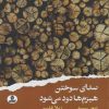 کتاب صدای سوختن هیزم ها دود می شود | انتشارات ایهام