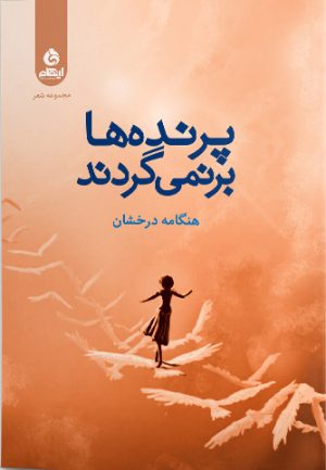 کتاب پرنده ها برنمی گردند | انتشارات ایهام