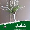 کتاب شاید | انتشارات ایهام