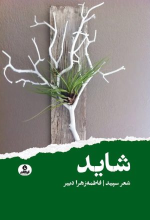 کتاب شاید | انتشارات ایهام