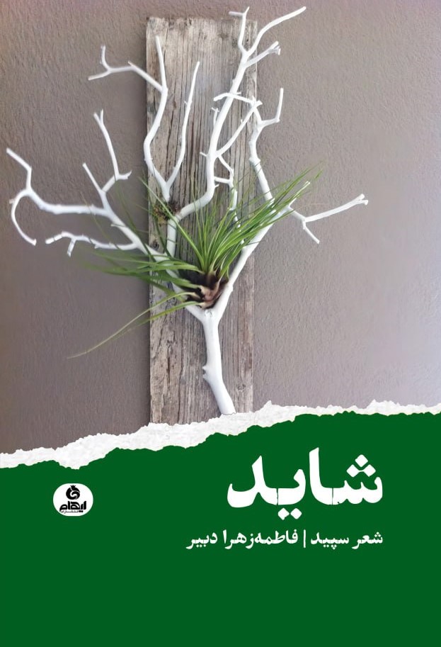 کتاب شاید | انتشارات ایهام