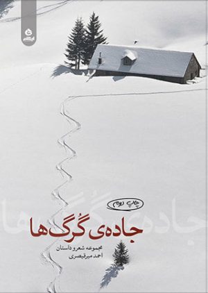 کتاب جاده گرگ ها | انتشارات ایهام