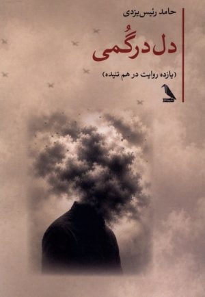 کتاب دل درگمی | انتشارات چهل کلاغ