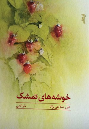 کتاب خوشه های تمشک | انتشارات ایهام