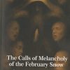 کتاب the calls of melancholy of the february snow | انتشارات ایهام