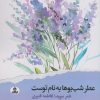 کتاب عطر شب بوها به نام توست | انتشارات ایهام
