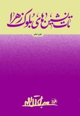 کتاب تات‌نشین‌های بلوک زهرا | انتشارات امیرکبیر