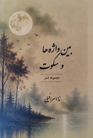 کتاب بین واژه‌ها و سکوت | انتشارات فصل پنجم