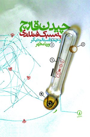 کتاب چیدن قارچ به سبک فنلاندی | انتشارات نشر نی