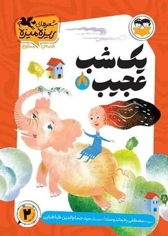 کتاب یک شب عجیب | انتشارات امیرکبیر