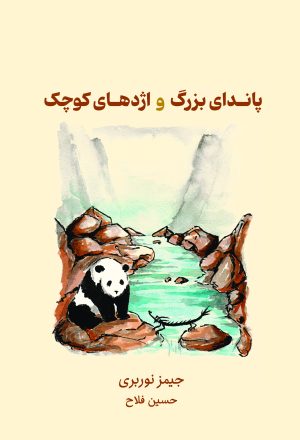 کتاب پاندای بزرگ و اژدهای کوچک | انتشارات نارنگی