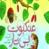 کتاب عنکبوت بی تار | انتشارات امیرکبیر