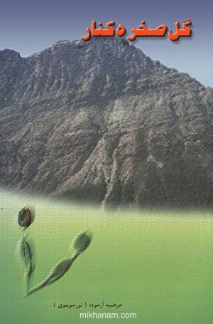 کتاب گل صخره کنار | انتشارات قطره