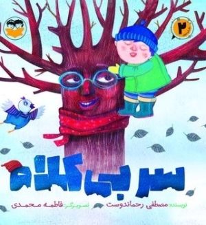 کتاب سر بی کلاه (2) | انتشارات امیرکبیر