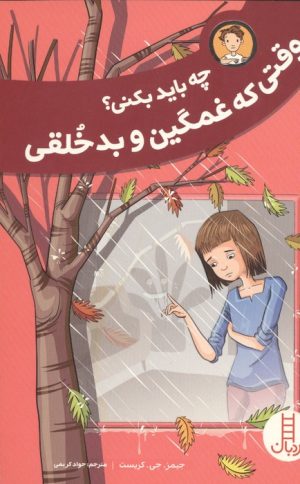 کتاب چه باید بکنی؟ وقتی که غمگین و بدخلقی | انتشارات فنی ایران نردبان