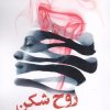 کتاب روحشکن | انتشارات کتابسرای تندیس