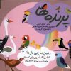 کتاب پرنده‌ها (رنگ‌آمیزی) | انتشارات ویژه نشر