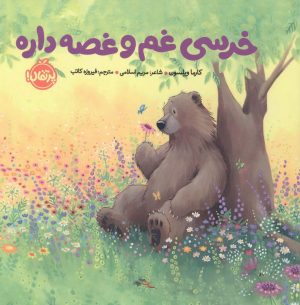 کتاب خرسی غم و غصه داره | انتشارات پرتقال