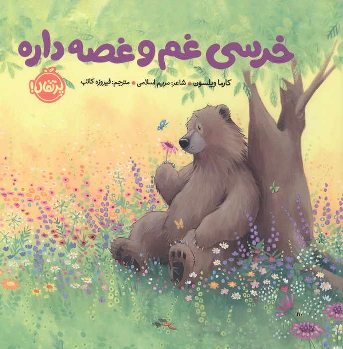 کتاب خرسی غم و غصه داره | انتشارات پرتقال