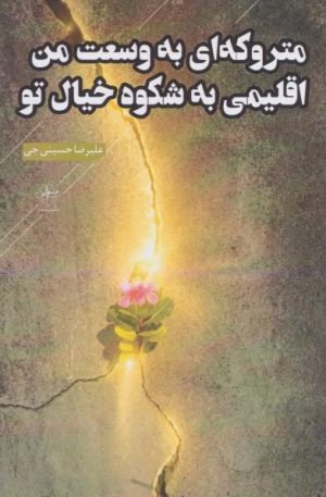 کتاب متروکه‌ای به وسعت من اقلیمی به شکوه خیال تو | انتشارات فصل پنجم